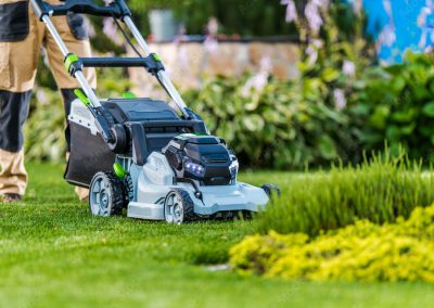 Giardinaggio e manutenzione del verde a Palermo e provincia