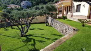Realizzazione giardini Palermo e provincia
