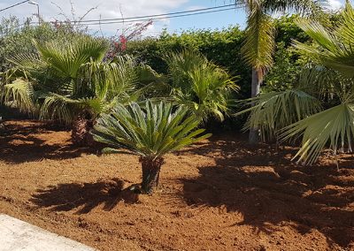 Lavorazione terreni e aratura palermo