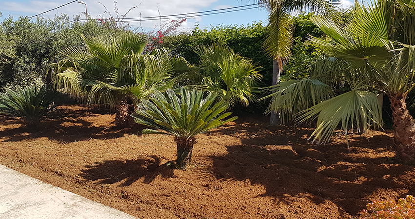 Lavorazione terreni e aratura palermo