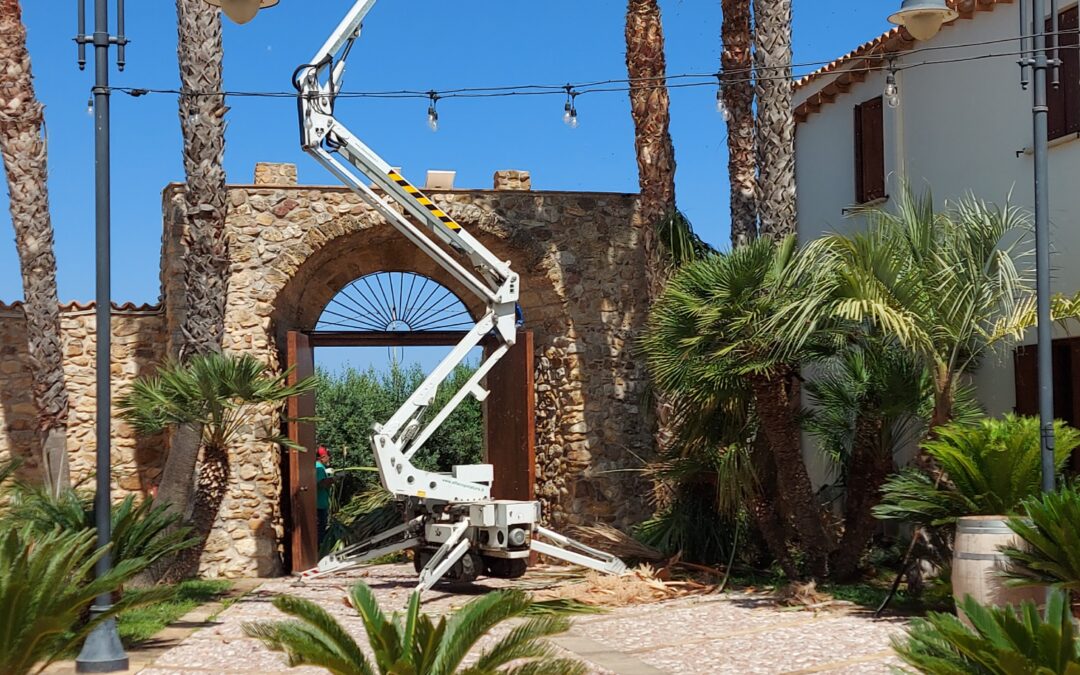 Abbattimenti e potature con piattaforma a ragno