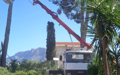 Noleggio Autogru fino a 50 TN e piattaforme aeree