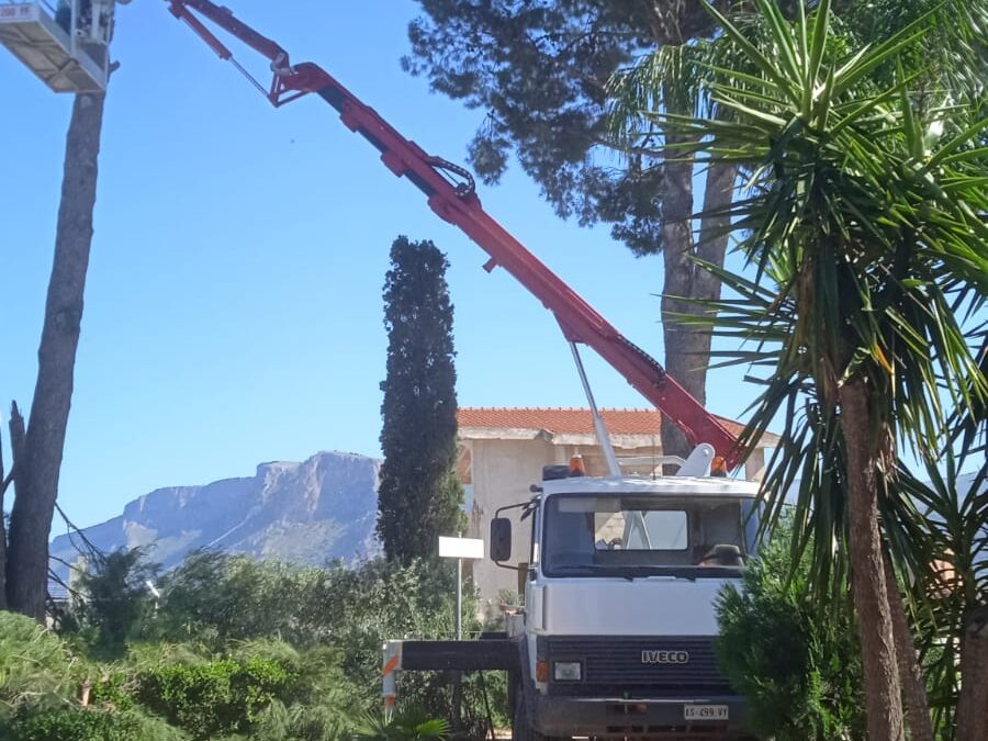 Noleggio Autogru fino a 50 TN e piattaforme aeree